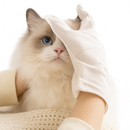 Luva de Banho VitaPet | Hidrata & Protege